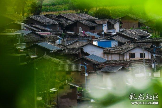 坑爹密室逃脱