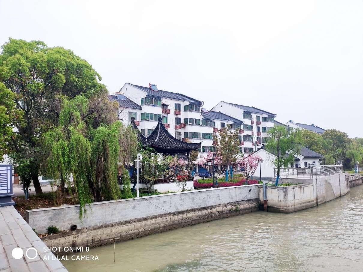 中科院“扫地僧”:一生淡泊名利,每天一斤白酒,却是科学界泰斗